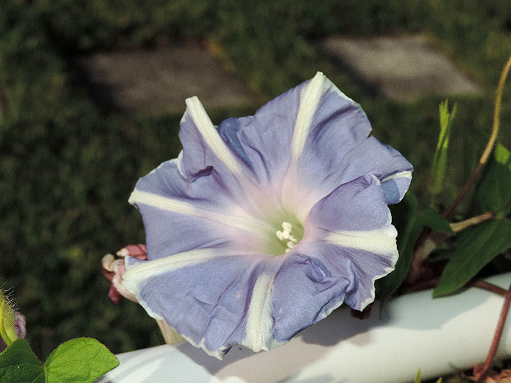 DSCN3112