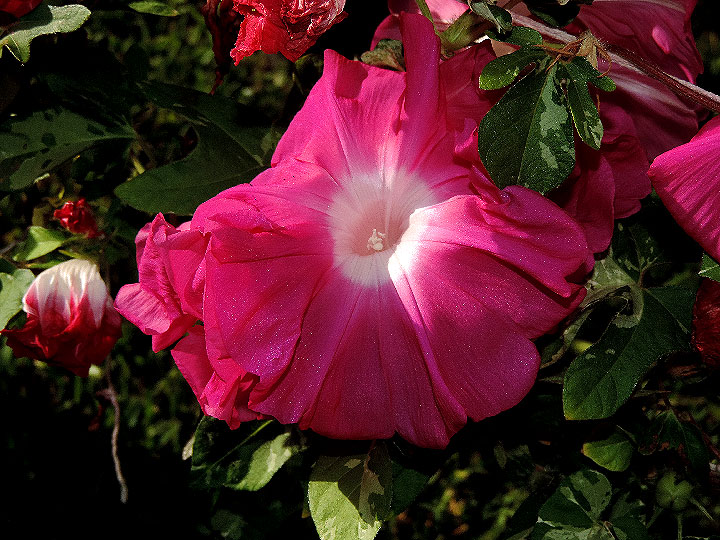 DSCN3154