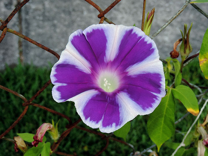 DSCN3186