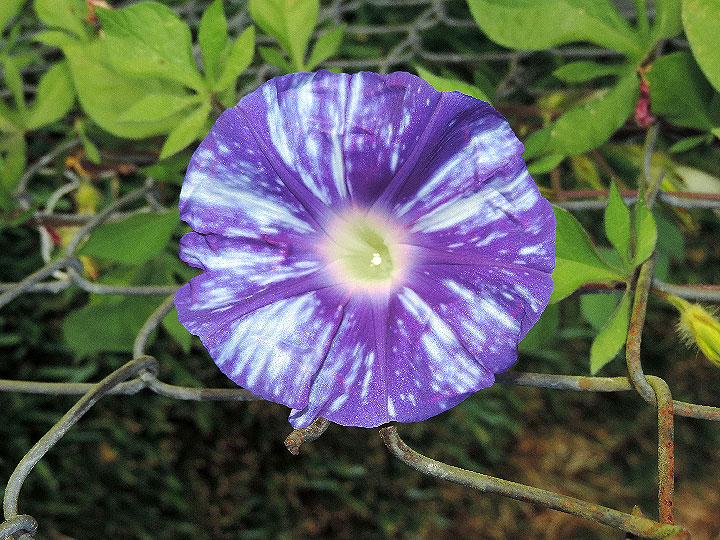 DSCN3197