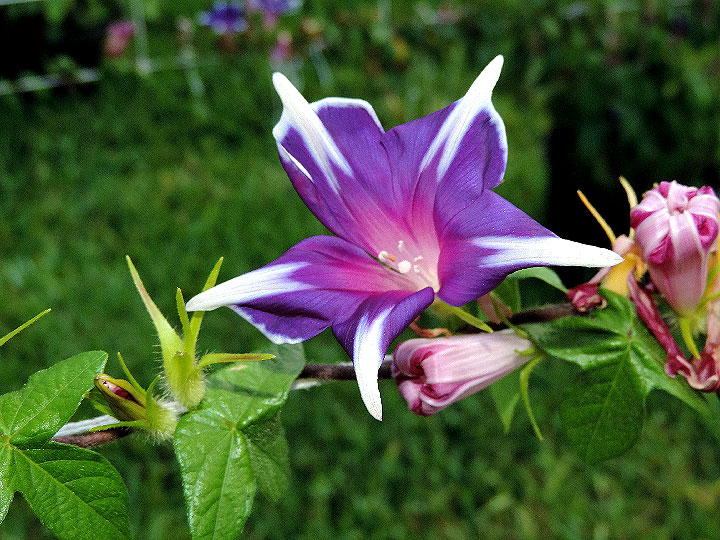 DSCN3207