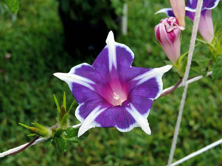 DSCN3208