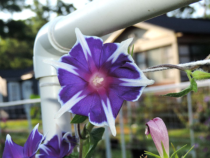 DSCN3318