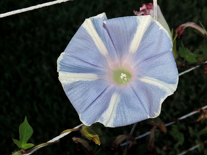 DSCN3335