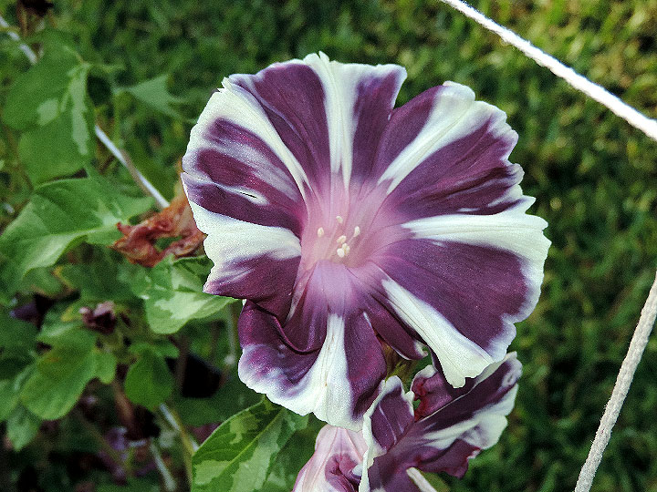 DSCN3336