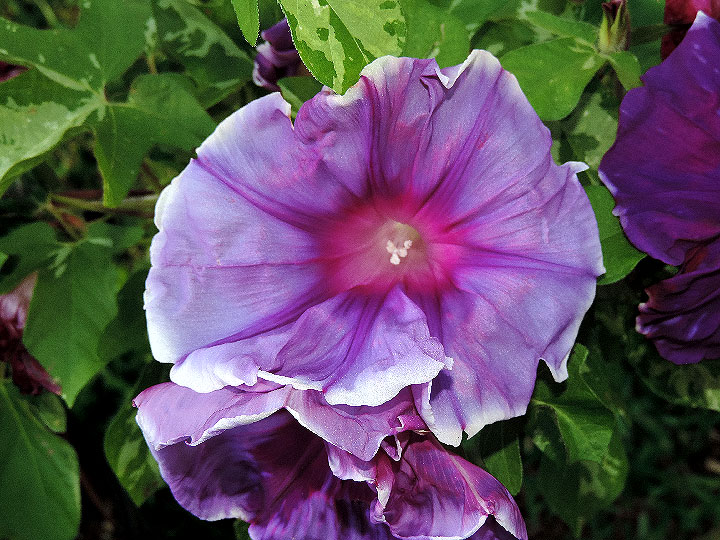 DSCN3343
