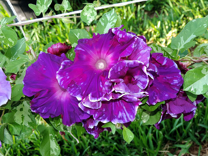 DSCN3345
