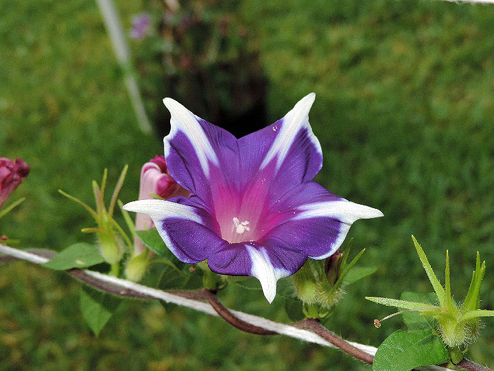 DSCN3435