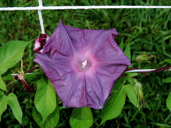 DSCN3489