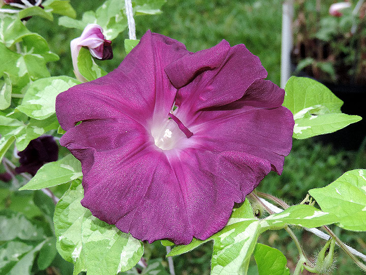 DSCN3819