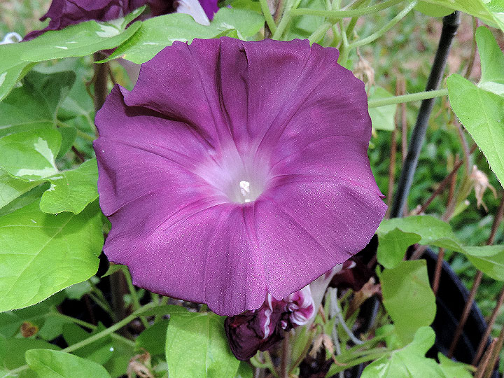 DSCN3820