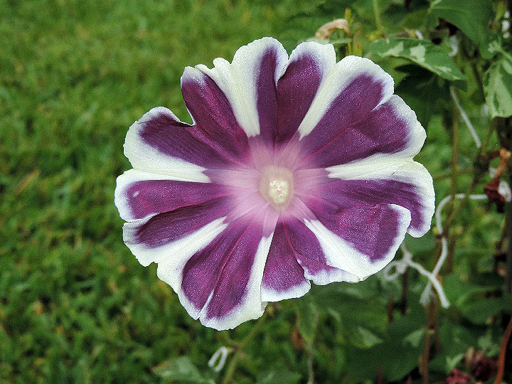 DSCN3907