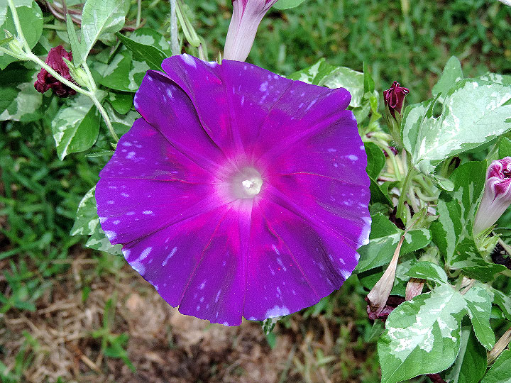 DSCN3913