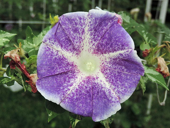 DSCN3934