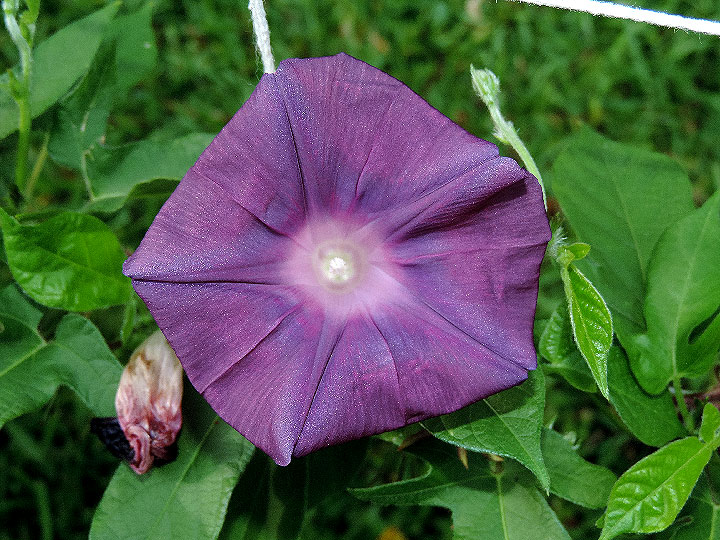 DSCN4121