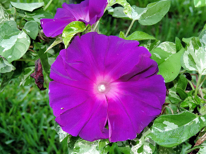 DSCN4385