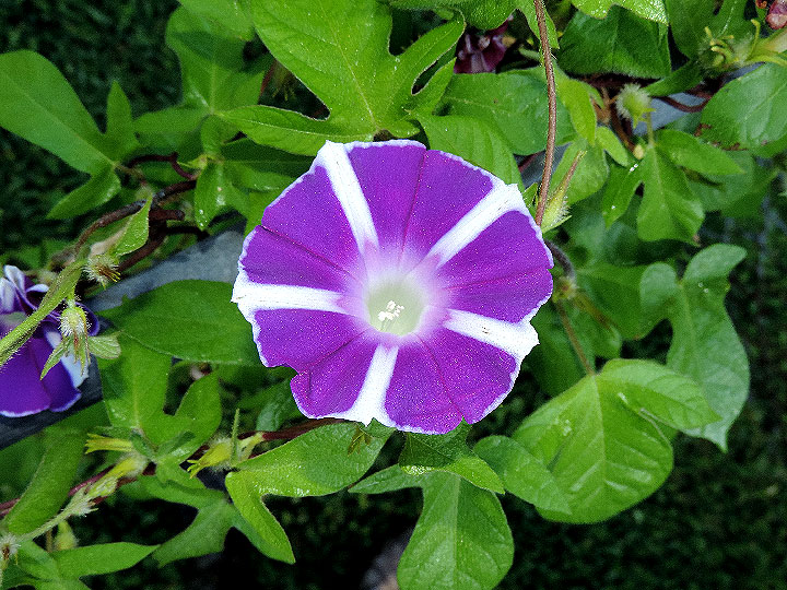 DSCN4757