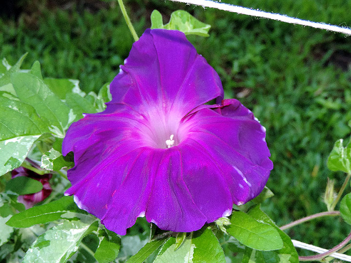 DSCN4798