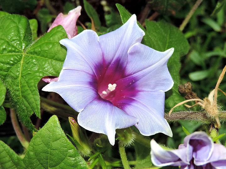 DSCN5172