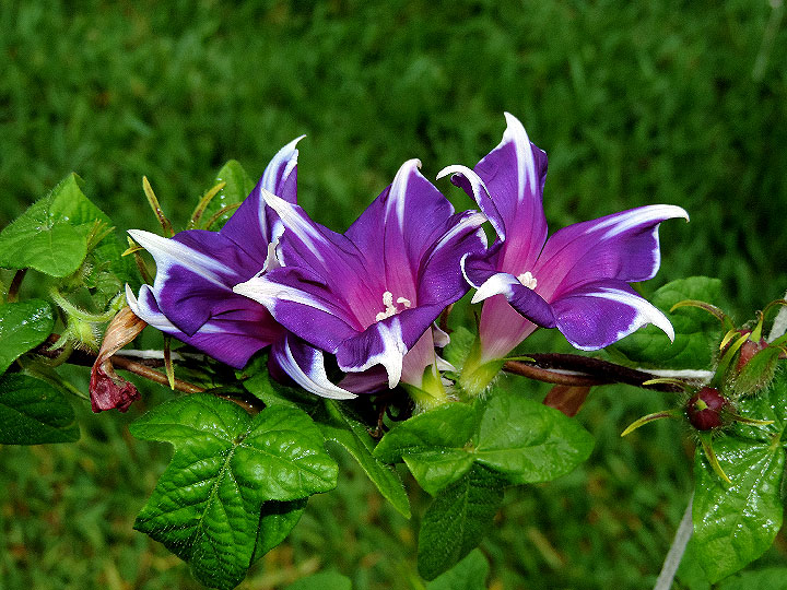DSCN5174