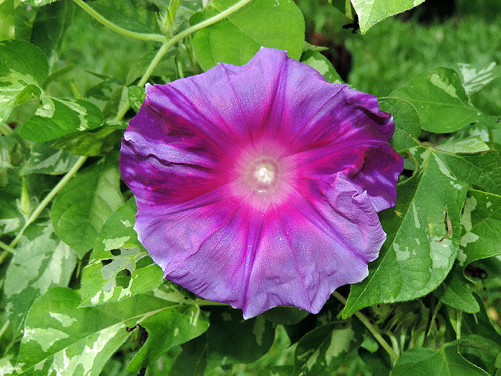 DSCN5361
