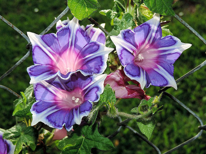 DSCN5456