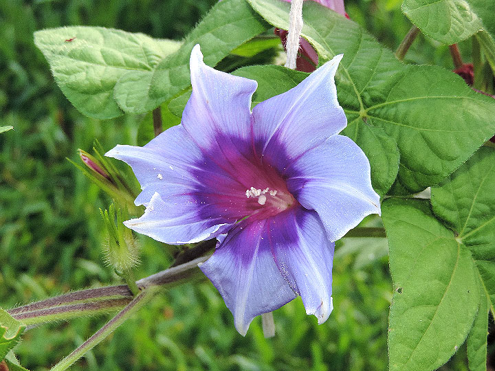 DSCN5470