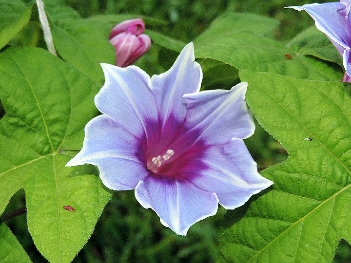 DSCN5631