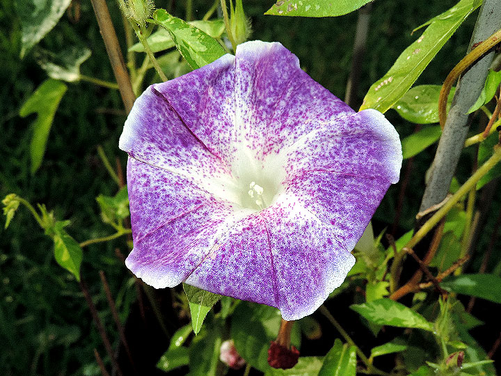 DSCN5689