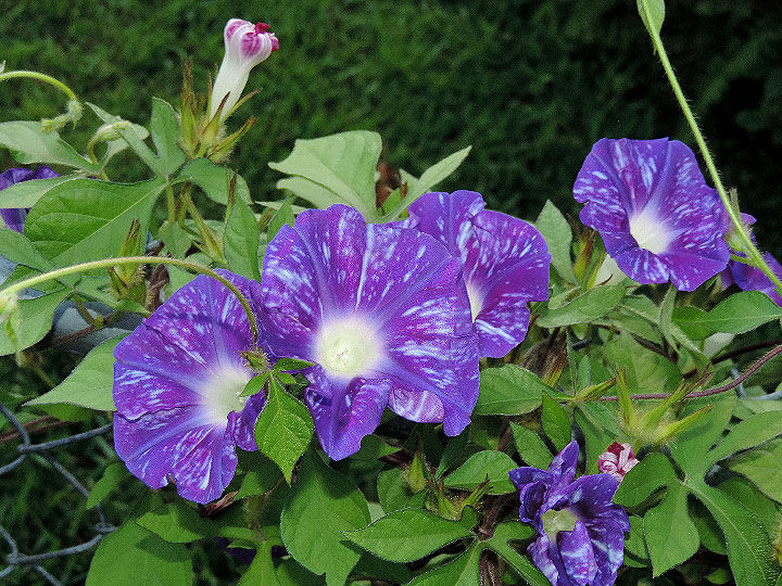 DSCN5769