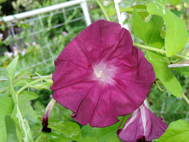 DSCN5860