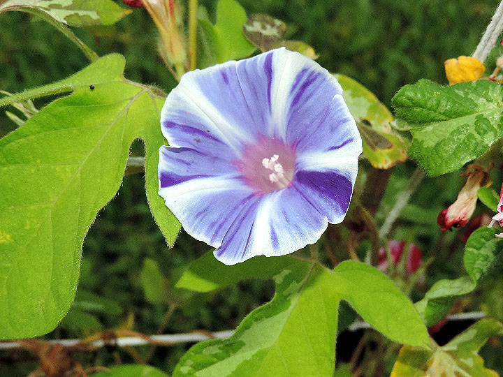 DSCN6183