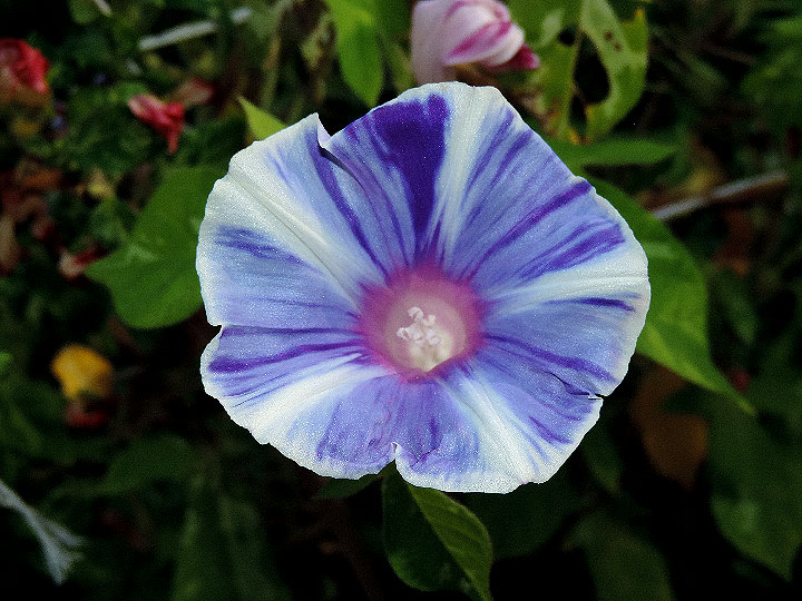 DSCN6335