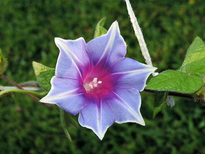 DSCN6489