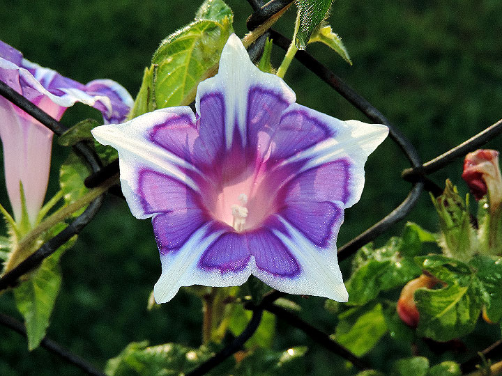 DSCN6630