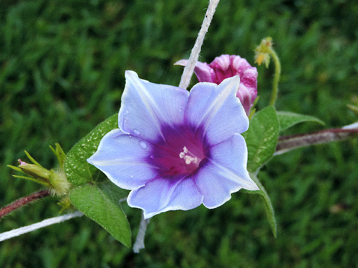 DSCN6643
