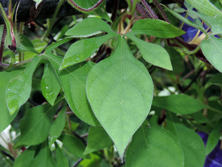 DSCN6802