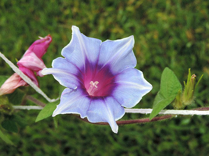 DSCN6819