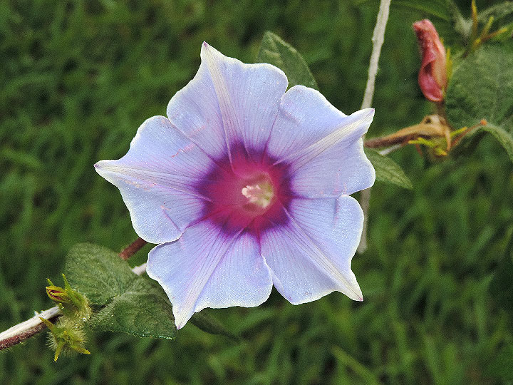 DSCN7557