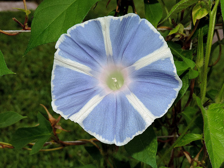 DSCN7691
