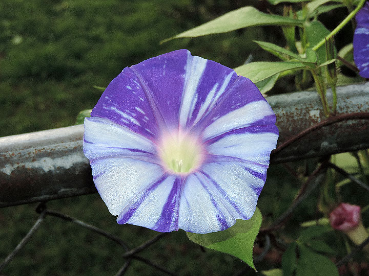 DSCN7778