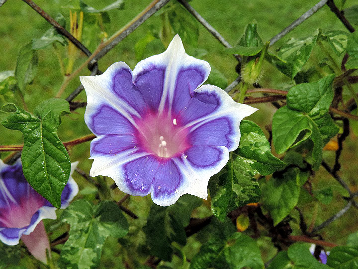 DSCN8180
