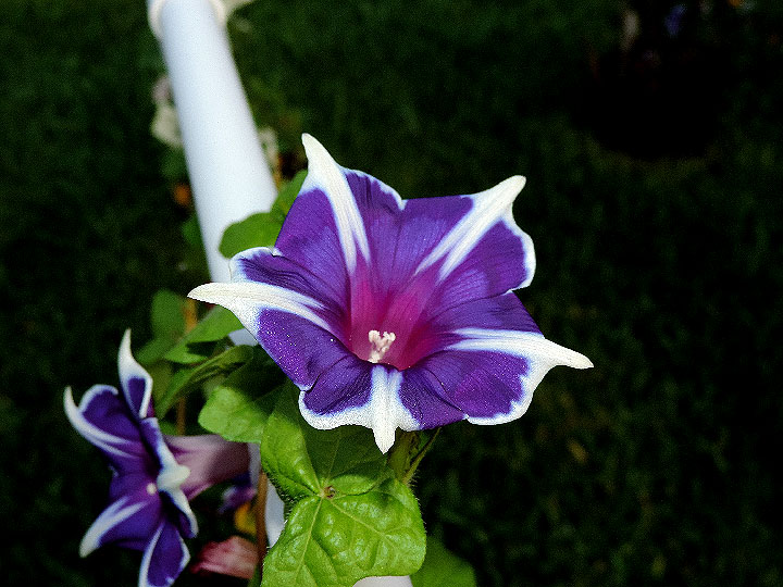 DSCN8422