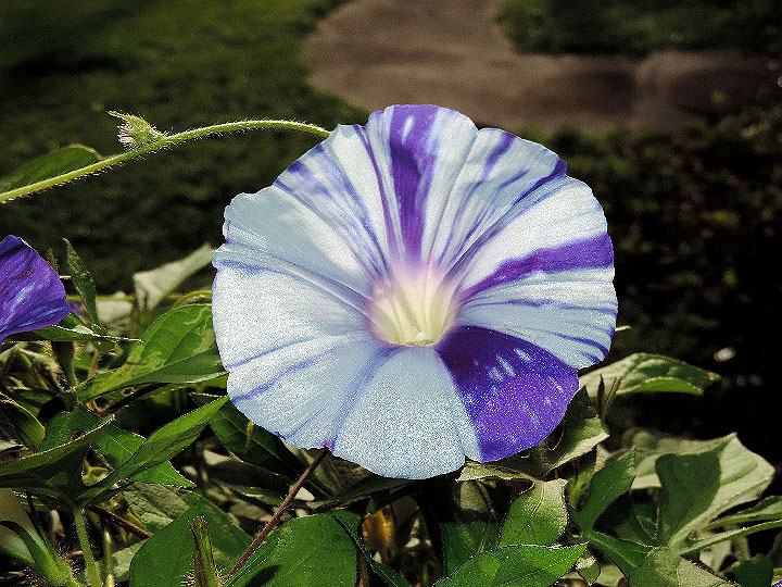 DSCN8539