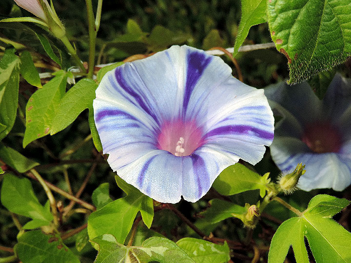DSCN8563