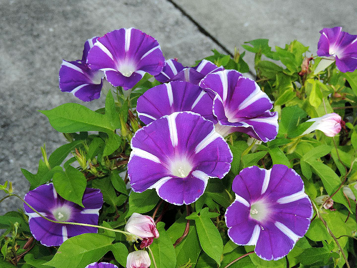 DSCN8936_01
