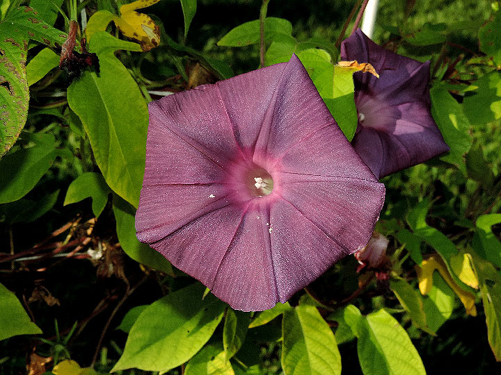 DSCN9028