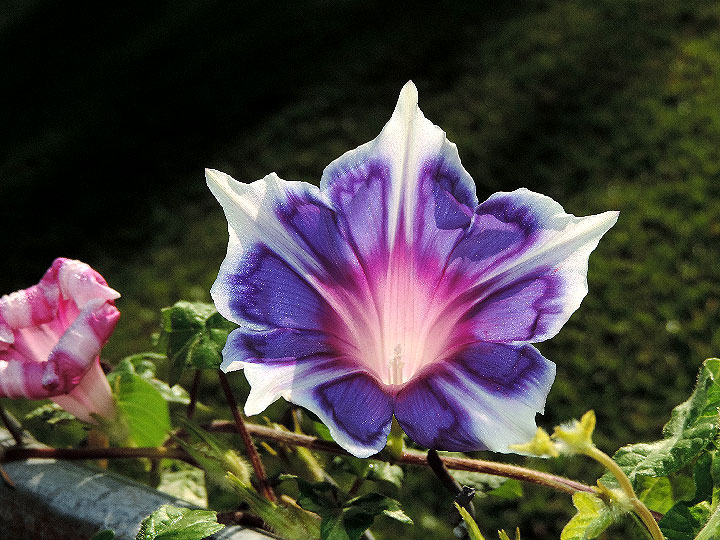 DSCN9086