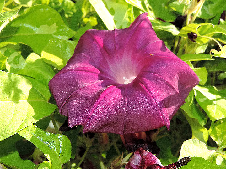 DSCN9138