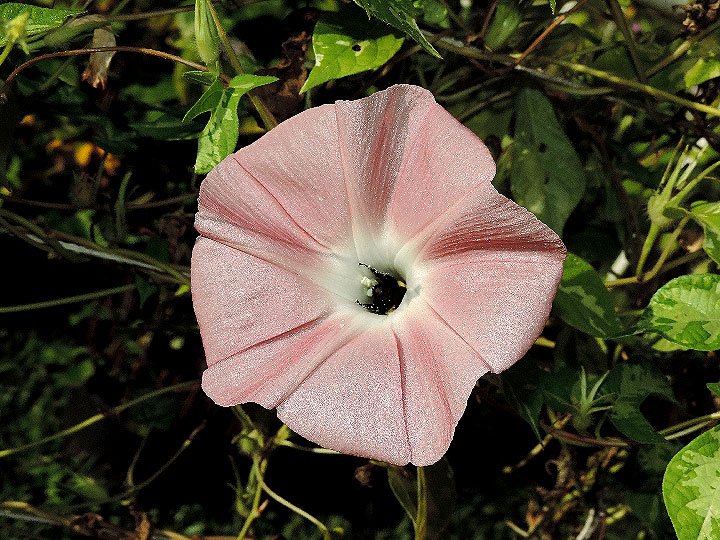 DSCN9143_01